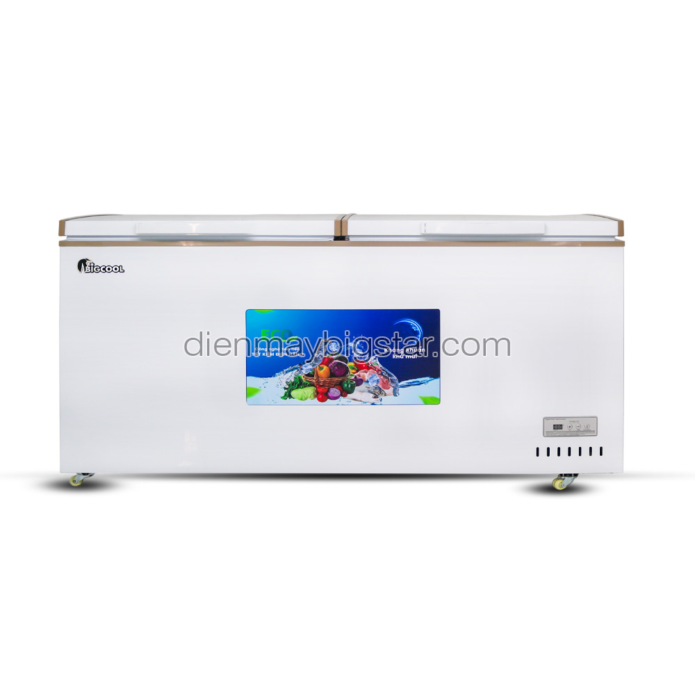 Tủ đông nằm SS-900L BigCool