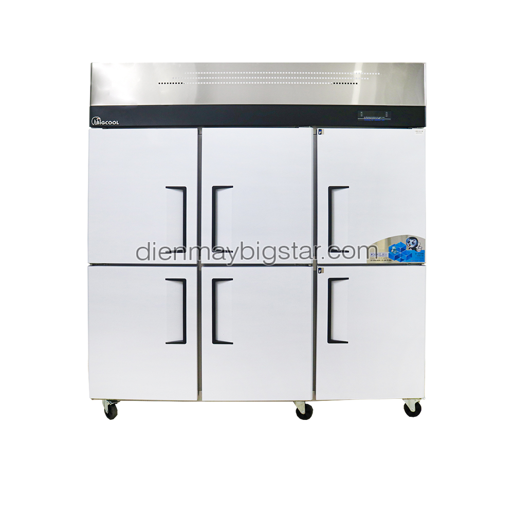 Tủ đông công nghiệp 6 cánh TD-1800CF 1m8