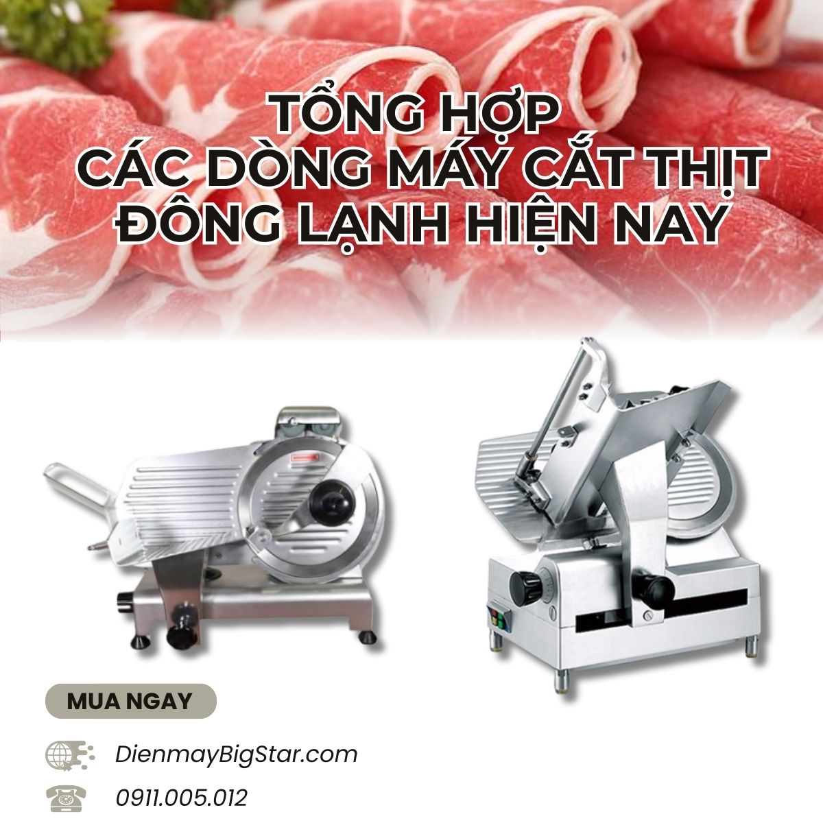 máy cắt thịt đông lạnh